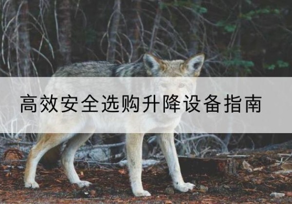 会东升降货梯厂家推荐-*安全选购升降设备指南