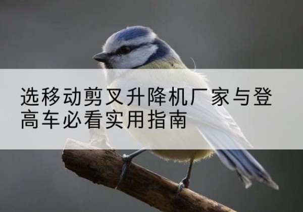 会东电动升降机厂家-选移动剪叉升降机厂家与登高车必看实用指南