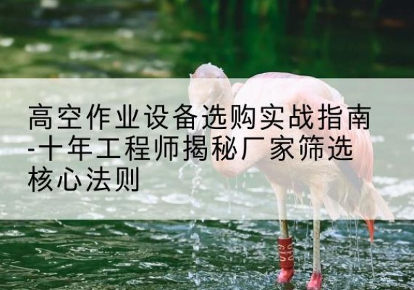 会东剪叉式升降机厂家-高空作业设备选购实战指南-十年工程师揭秘厂家筛选核心法则
